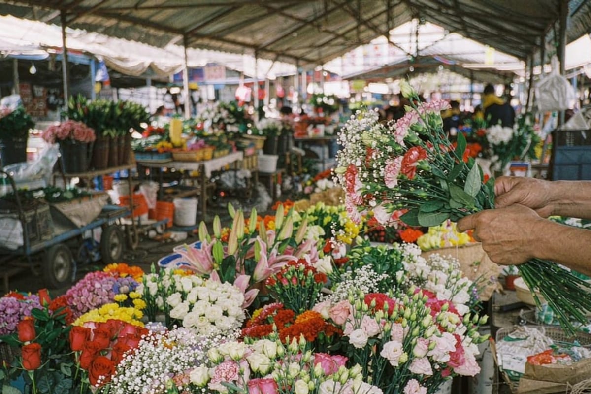 Flores e árvores em parque de Kunming sob céu azul