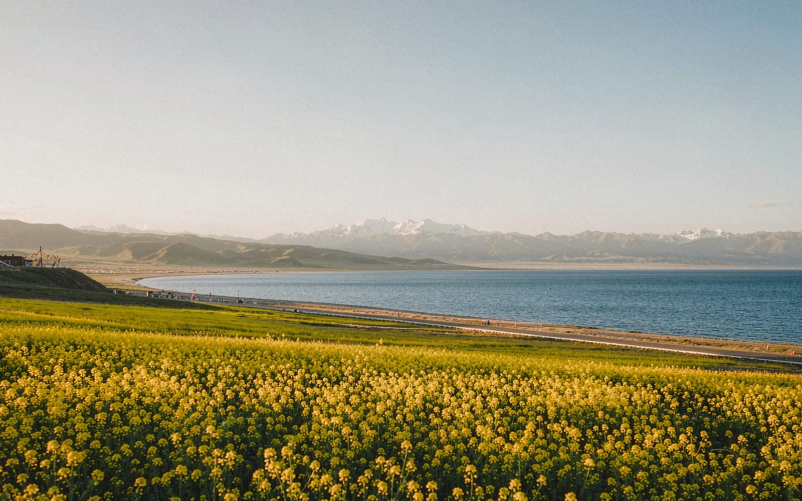 Lago Qinghai com colza na margem
